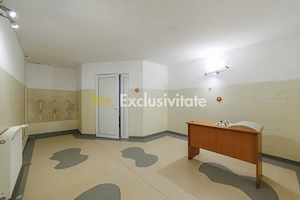 Proprietate multifunctionala | Doua cladiri | 581 mp | Pitesti - imagine 3