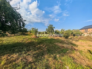 Teren intravilan 1.600 mp Mioveni – Zona Pruni - imagine 6