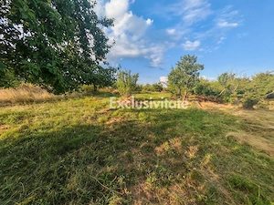 Teren intravilan 1.600 mp Mioveni – Zona Pruni - imagine 7