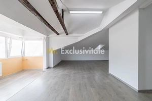 Spatiu Comercial - Ultracentral - Armand Calinescu, Pitesti! - imagine 3