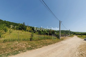 Teren intravilan Ștefănești Valea Mare Podgoria - imagine 3