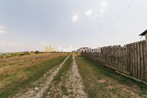 Casa P+M si teren de 705 mp | Pitesti – Strada Zborului - imagine 16