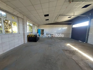 De închiriat: Hale si locuință pe 3 000 mp/ Bascov - Argeș - imagine 8