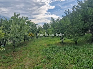 Teren intravilan  1400 mp - Albota ! - imagine 5
