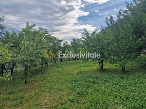 Teren intravilan  1400 mp - Albota ! - imagine 4