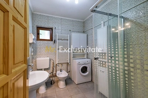 Proprietate de poveste în Corbi, Argeș - Doua case si 6300 mp teren intravilan - imagine 8