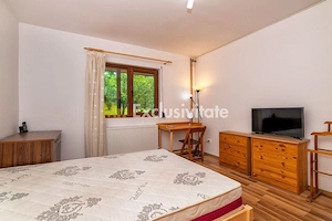 Proprietate de poveste în Corbi, Argeș - Doua case si 6300 mp teren intravilan - imagine 5