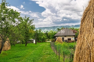 Proprietate de poveste în Corbi, Argeș - Doua case si 6300 mp teren intravilan - imagine 2