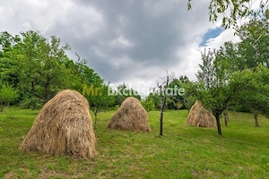 Casa moderna si casa bunicii + 6300 mp teren,Oaza autentica in Corbi Arges- - imagine 17