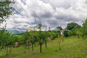 Casa moderna si casa bunicii + 6300 mp teren,Oaza autentica in Corbi Arges- - imagine 16