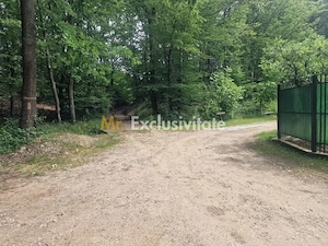 Teren extravilan Pitesti - str. Balotesi!! - imagine 3