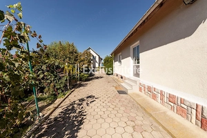 Casa visurilor cu 4000 mp livada roditoare si gradina Darmanesti-Arges - imagine 12