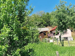 Proprietate în Comuna Botești, Județul Argeș – Zonă Pitorească și Liniștită ! - imagine 3
