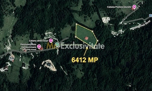 Casa de vacanta sau pensiune in Dâmbovicioara 5 camere, 5 bai, 6412 mp teren - imagine 10