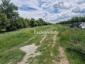 0% Comision!!! Teren intravilan Smeura - str Prunilor! - imagine 5
