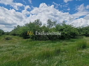 0% Comision!!! Teren intravilan Smeura - str Prunilor! - imagine 7