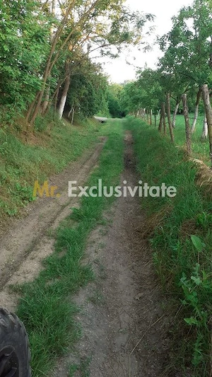 Teren extravilan Pitesti - str. Balotesi!! - imagine 5