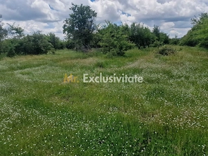 0% Comision!!! Teren intravilan Smeura - str Prunilor! - imagine 4