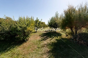 Casa visurilor cu 4000 mp livada roditoare si gradina Darmanesti-Arges - imagine 6