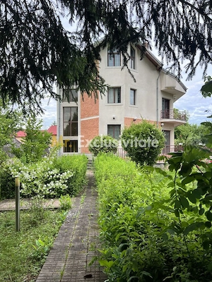 Acasă la Bascov- Județ Arges cu peisaj de poveste - imagine 10