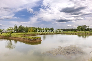 Afacere functionala - MOTEL si CAMPING cu terasa, piscina si lacuri pescuit - imagine 19