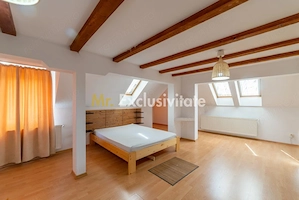Apartament pe 2 nivele -  6 camere Gavana 3 + 309 mp curte proprie - imagine 7