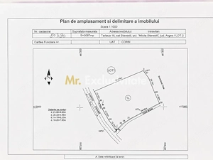 Teren intravilan 3097 mp Comuna Corbi, Jud. Argeș, toarte utilitatile - imagine 4