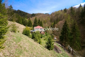 Casa Dambovicioara - CASA de vacanta sau PENSIUNE profitabila - imagine 10