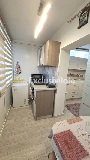 Apartament La Cheie - Eremia Grigorescu - mobilat si utilat - imagine 9