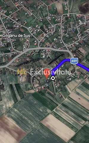 Teren intravilan 6500 mp- Gliganu de Sus - Rociu - imagine 2