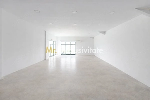 HALA INDUSTRIALA 595 MP | DN 65B – BRADU | CURTE 1.466 MP | AUTOSTRADA - imagine 9