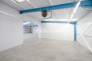 HALA INDUSTRIALA 595 MP | DN 65B – BRADU | CURTE 1.466 MP | AUTOSTRADA - imagine 8