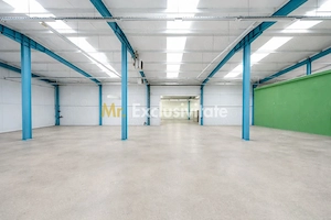 HALA INDUSTRIALA 595 MP | DN 65B – BRADU | CURTE 1.466 MP | AUTOSTRADA - imagine 4