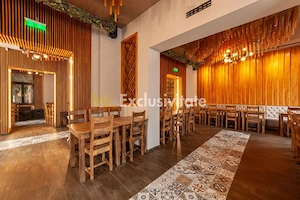 Spatiu comercial premium in vila – Bd. Republicii, Pitesti - imagine 10