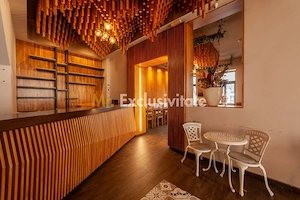 Spatiu comercial premium in vila – Bd. Republicii, Pitesti - imagine 6
