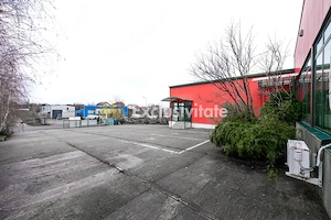 HALA INDUSTRIALA 595 MP | DN 65B – BRADU | CURTE 1.466 MP | AUTOSTRADA - imagine 11