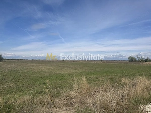 Teren intravilan 3700 mp la 28 km de Pitesti  - zona linistita - imagine 2