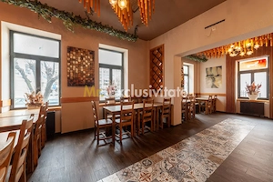 Spatiu comercial premium in vila – Bd. Republicii, Pitesti - imagine 5