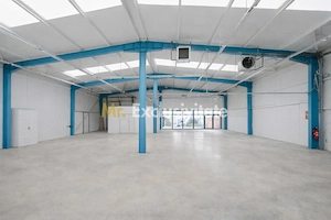 HALA INDUSTRIALA 595 MP | DN 65B – BRADU | CURTE 1.466 MP | AUTOSTRADA - imagine 3
