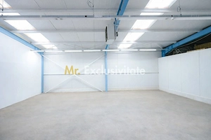 HALA INDUSTRIALA 595 MP | DN 65B – BRADU | CURTE 1.466 MP | AUTOSTRADA - imagine 5