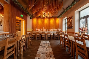 Spatiu comercial premium in vila – Bd. Republicii, Pitesti - imagine 11