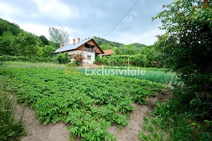 Casa cu teren generos - 4696 mp Apa Sarata - Campulung !! - imagine 9