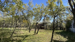 Casa+teren 2713 mp in loc. Babana, jud. Arges. Comision 0% - imagine 5