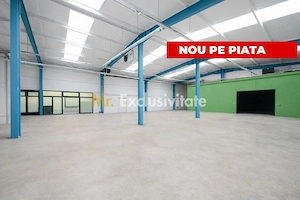 HALA INDUSTRIALA 595 MP | DN 65B – BRADU | CURTE 1.466 MP | AUTOSTRADA - imagine 2