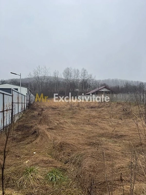 Teren 1758 mp DN7 - Prislopu Mare, Draganu! - imagine 3
