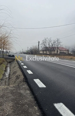 Teren 1758 mp DN7 - Prislopu Mare, Draganu! - imagine 4