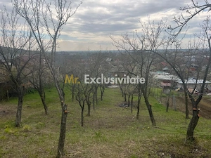 Teren intravilan 2.200 mp cu constructie existenta –Calinesti- Vranesti-Arges! - imagine 3