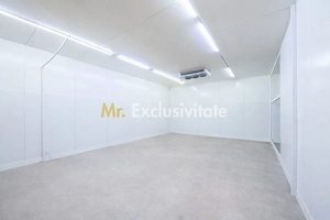 Showroom | Spatiu comercial premium, parter + etaj, multifunctional - imagine 5