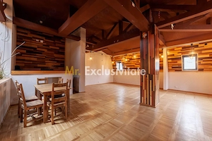 Spatiu comercial premium in vila – Bd. Republicii, Pitesti - imagine 16