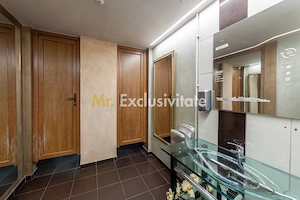 Spatiu comercial premium in vila – Bd. Republicii, Pitesti - imagine 12